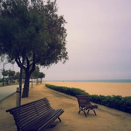 Apartahotel Iris 5*